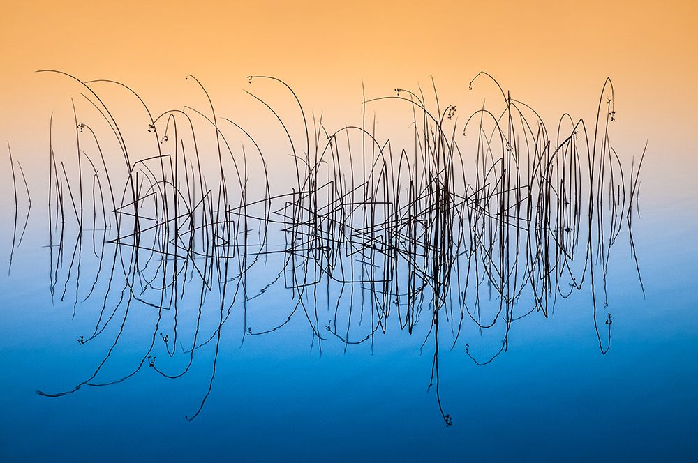 Swedish art print by Benny Pettersson for $57.95 CAD