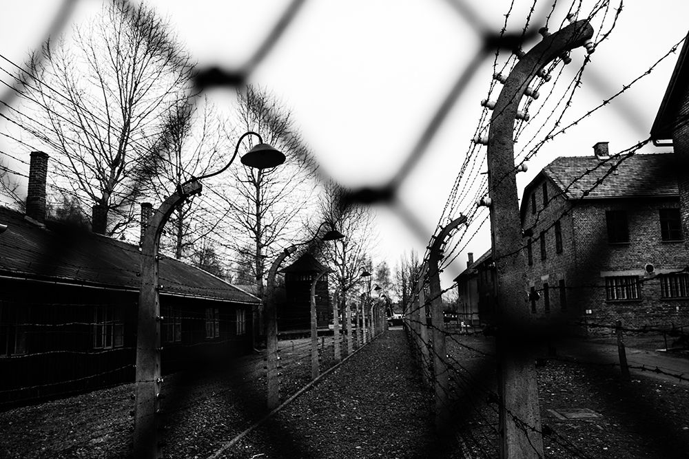 Behind The Fences - Auschwitz I art print by Javier Palacios Prieto for $57.95 CAD