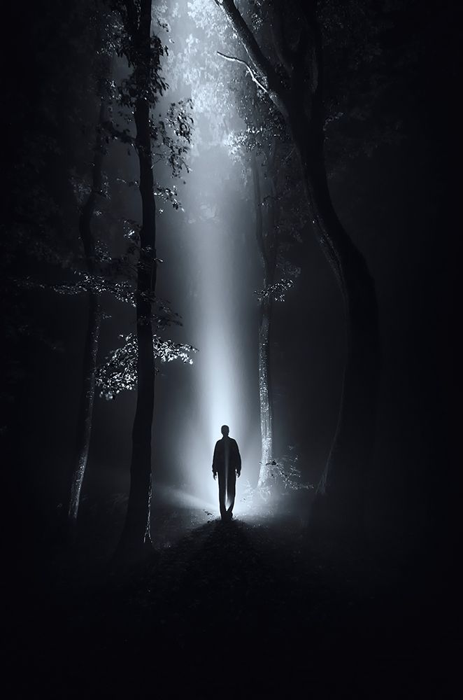 Surreal Forest At Night art print by Photocosma for $57.95 CAD