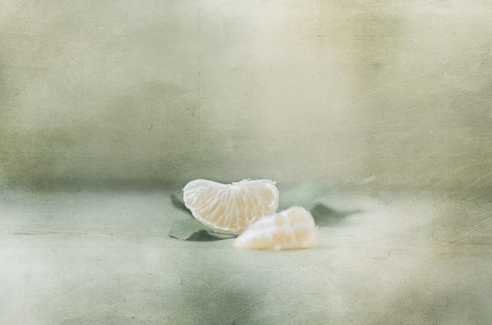 Vintage Tangerine art print by Delphine Devos for $57.95 CAD