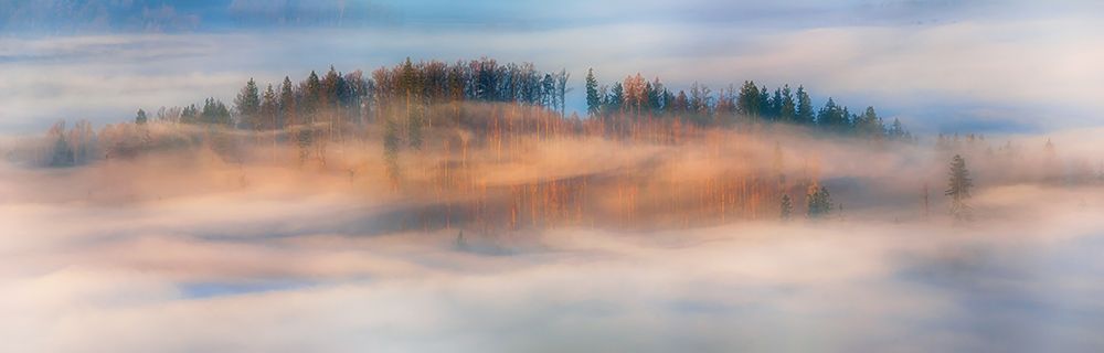 In The Morning Mists art print by Piotr Krol for $57.95 CAD