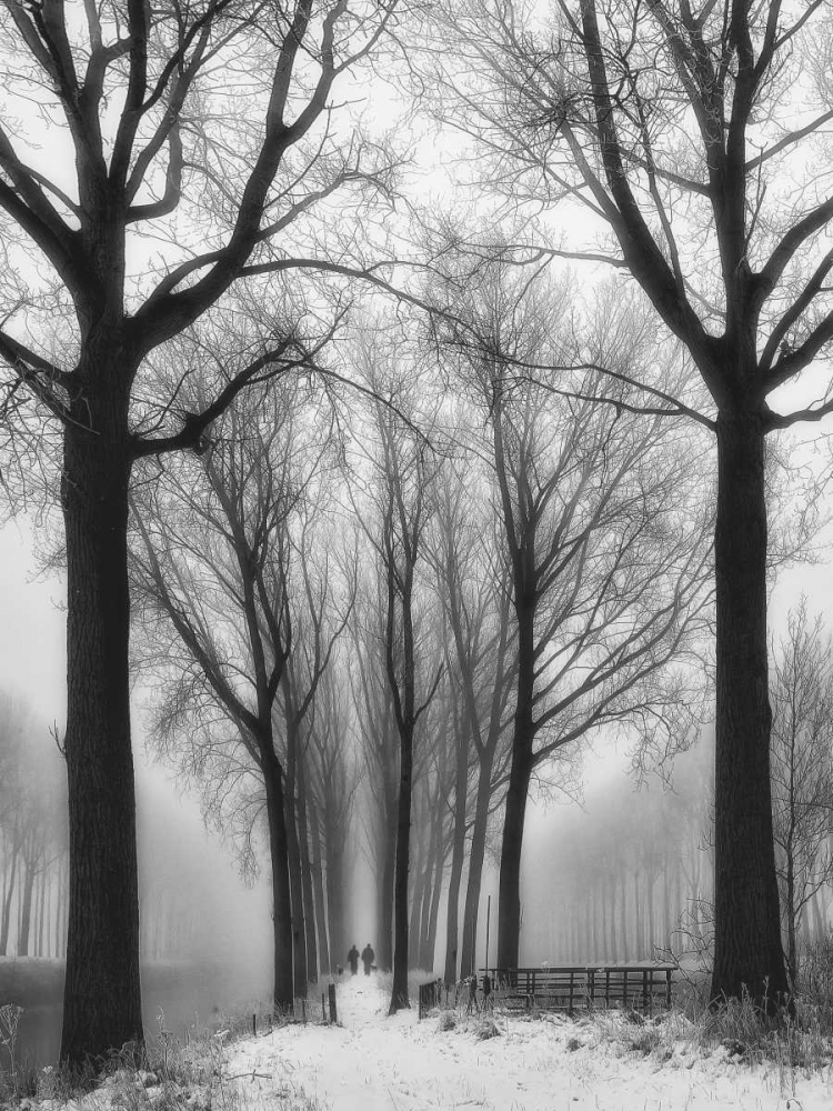 Then Winter Comes art print by Yvette Depaepe for $57.95 CAD