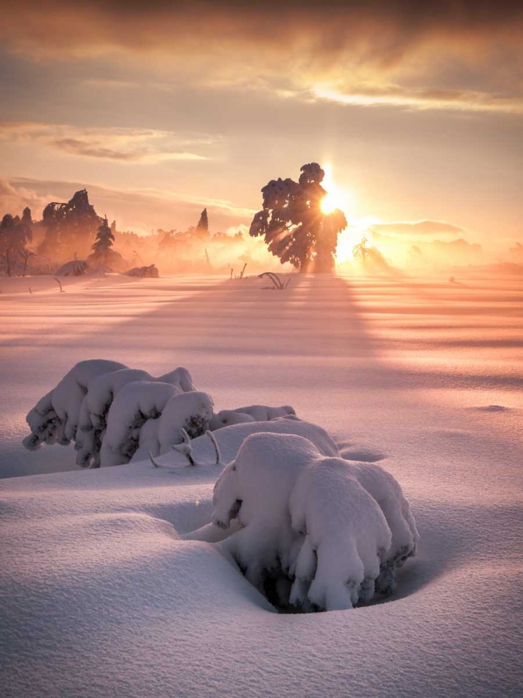 After The Storm art print by Andreas Wonisch for $57.95 CAD