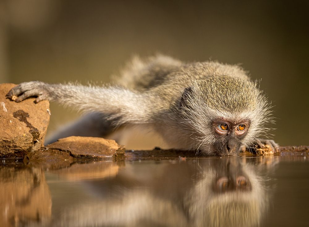 Reflection art print by Jaco Marx for $57.95 CAD