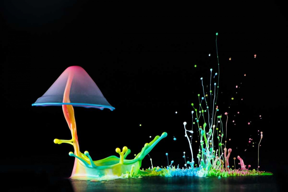 Symphony Of Colors art print by Suwandi Lim for $57.95 CAD
