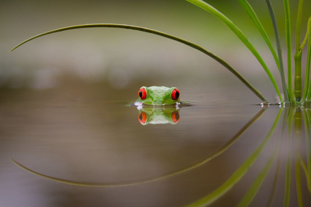 Beauty Of Reflection art print by Kutub Uddin for $57.95 CAD