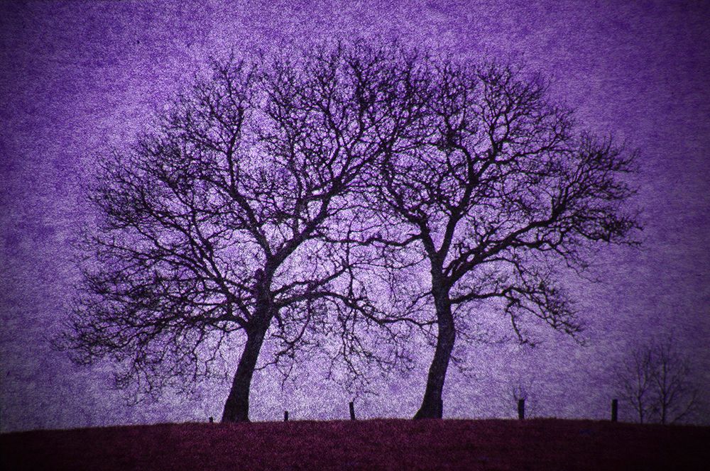 Stick together art print by Bror Johansson for $57.95 CAD