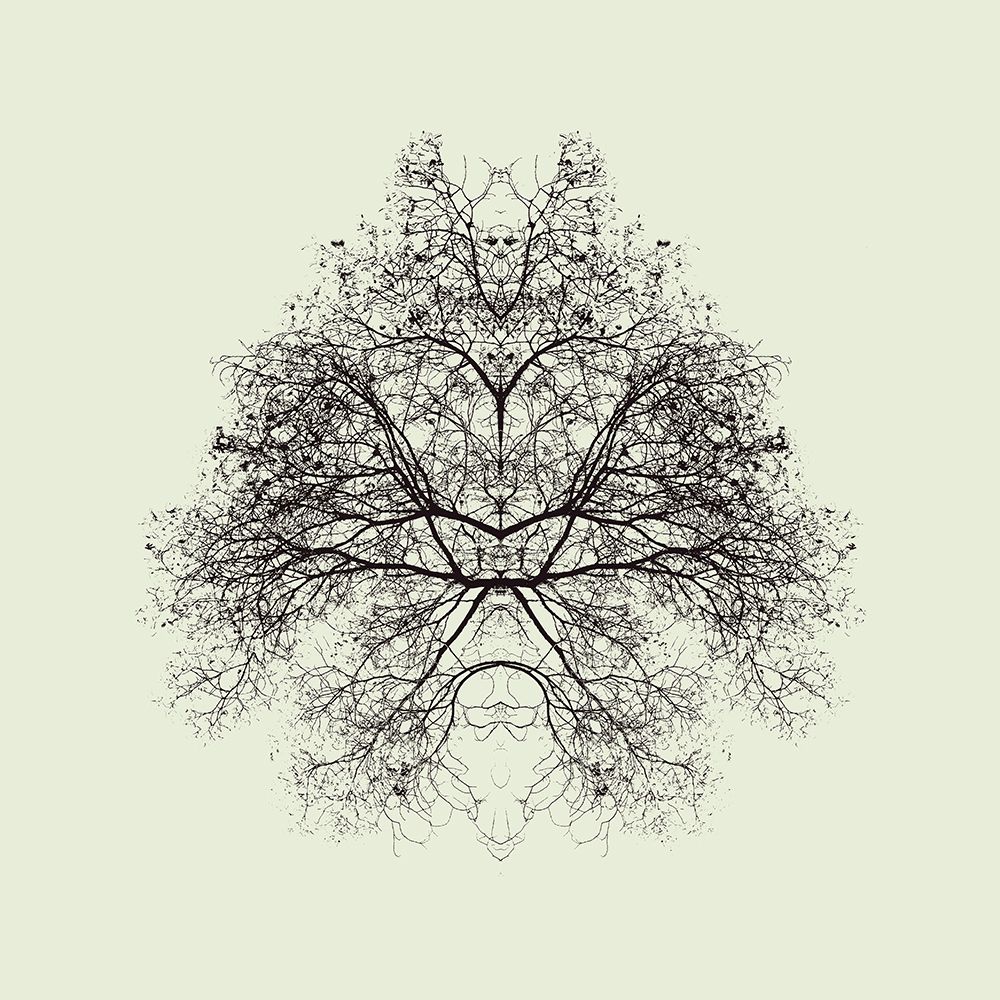 Rorschach Test art print by Nadav Jonas for $57.95 CAD