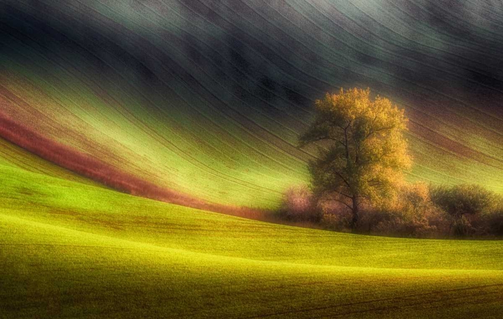 Moravian Fields art print by Piotr (Bax) Krol for $57.95 CAD