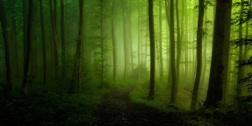 Spring Promise art print by Norbert Maier for $57.95 CAD