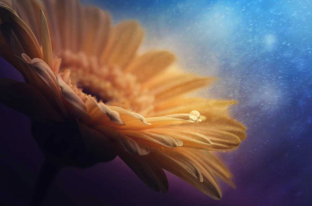 Universe art print by Pasztor Andras for $57.95 CAD
