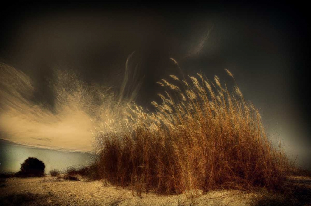 Untitled art print by Miki Meir Levi for $57.95 CAD