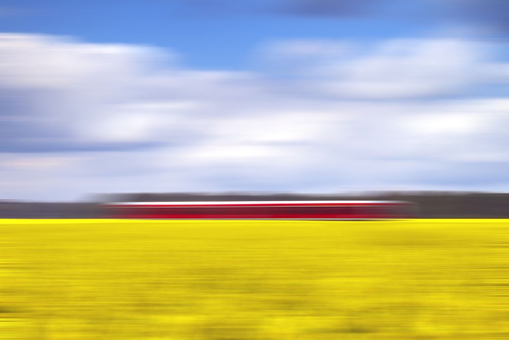 canola a the red train art print by Oliver Buchmann for $57.95 CAD
