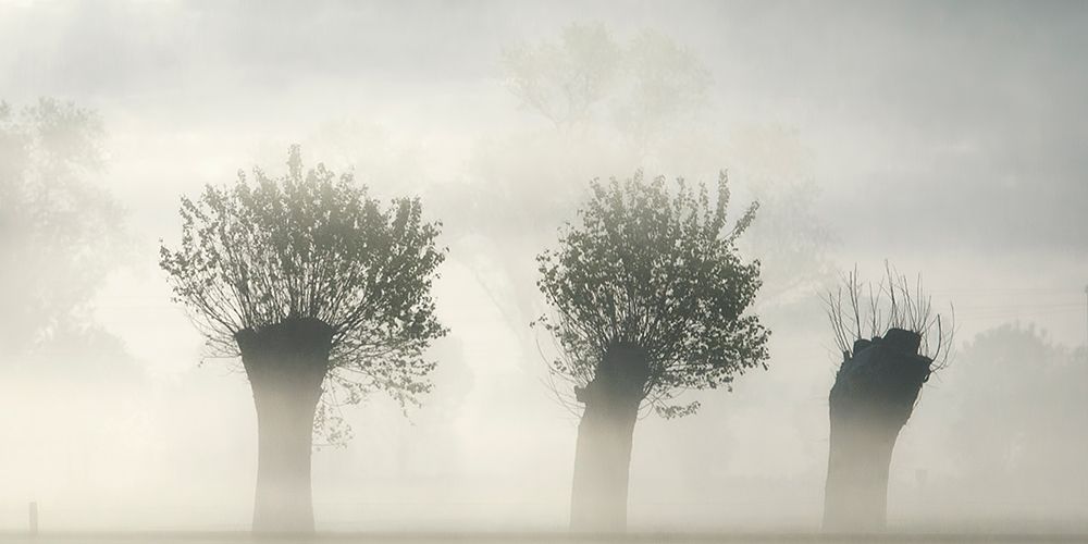 awakening earth art print by Piet Flour for $57.95 CAD