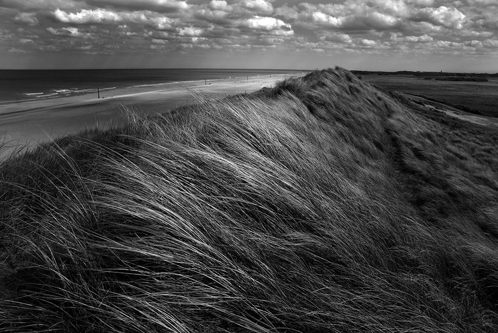 Dunes Hair. art print by Katarzyna Pardo for $57.95 CAD