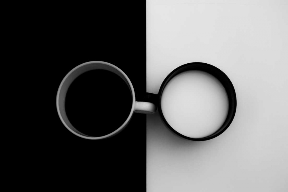 Opposites Attract art print by Carmen Gradinaru for $57.95 CAD