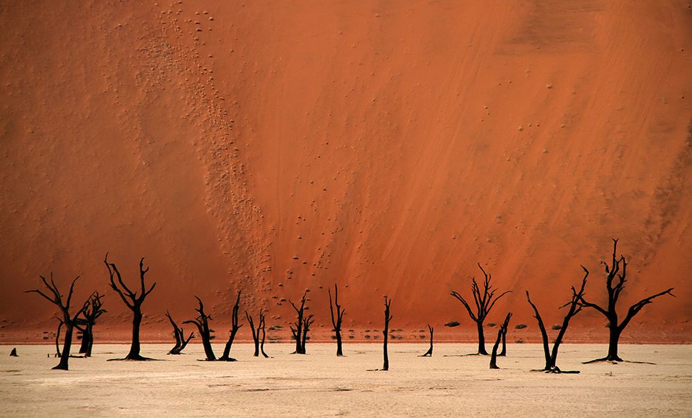 Deadvlei art print by Hans-Wolfgang Hawerkamp for $57.95 CAD