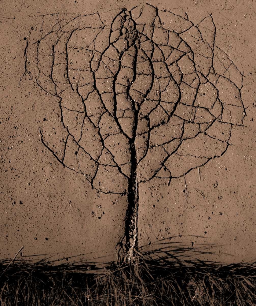Asphalt Tree art print by Rasto Gallo for $57.95 CAD
