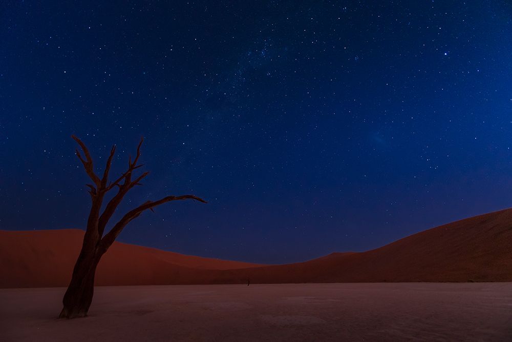 Stars and Dunes art print by Ali Khataw for $57.95 CAD