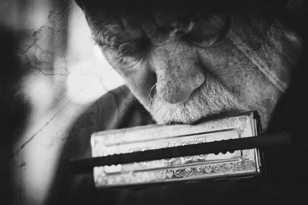 Wolf With Harmonica art print by Roswitha Schleicher-Schwarz for $57.95 CAD