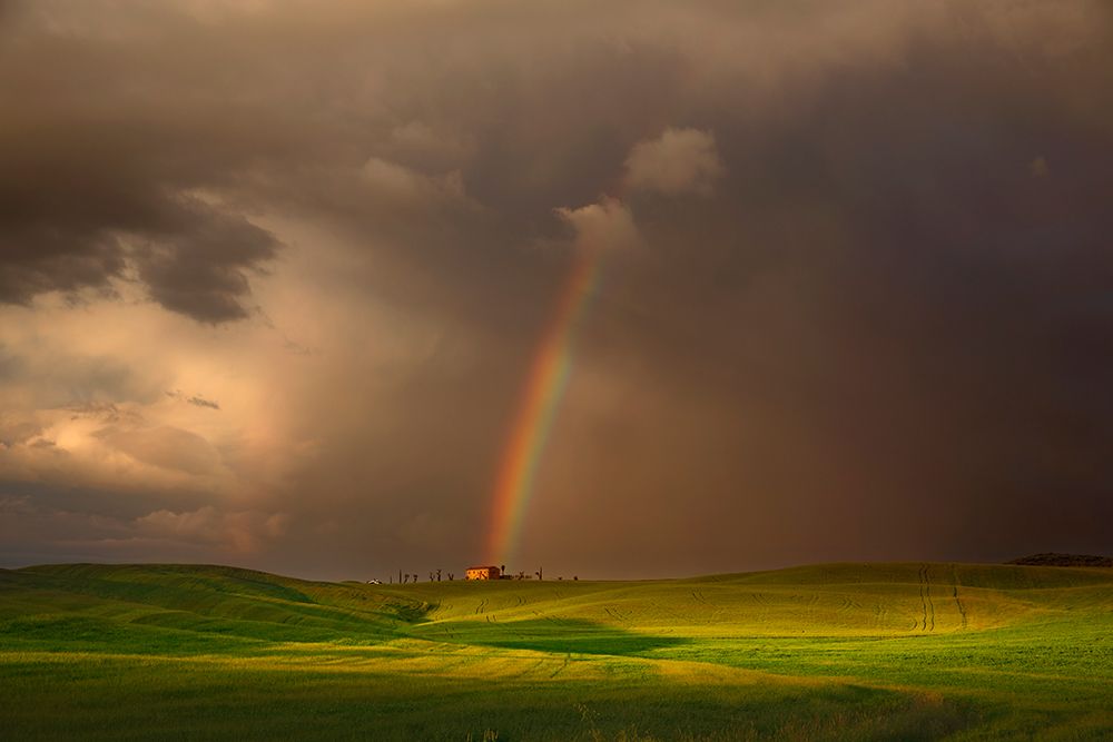 Wetterstimmung in der Toskana art print by Nicolas Schumacher for $57.95 CAD