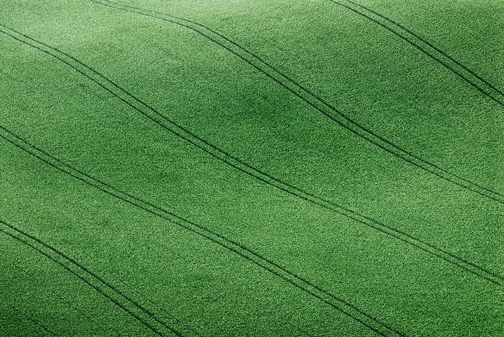Field #6 art print by Clive Collie for $57.95 CAD