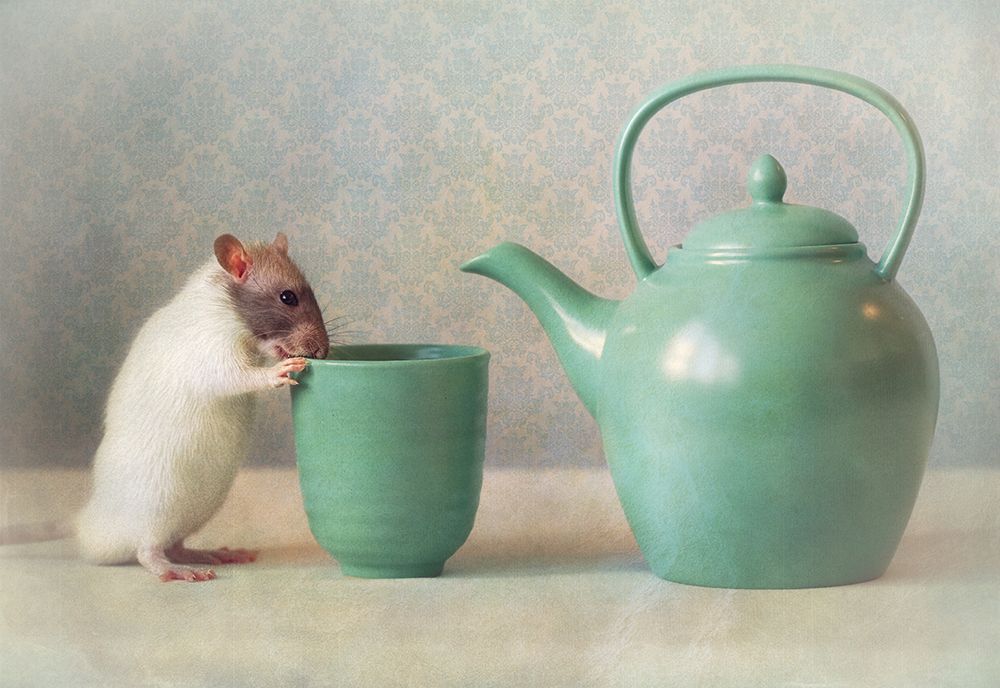 The Teapot art print by Ellen van Deelen for $57.95 CAD