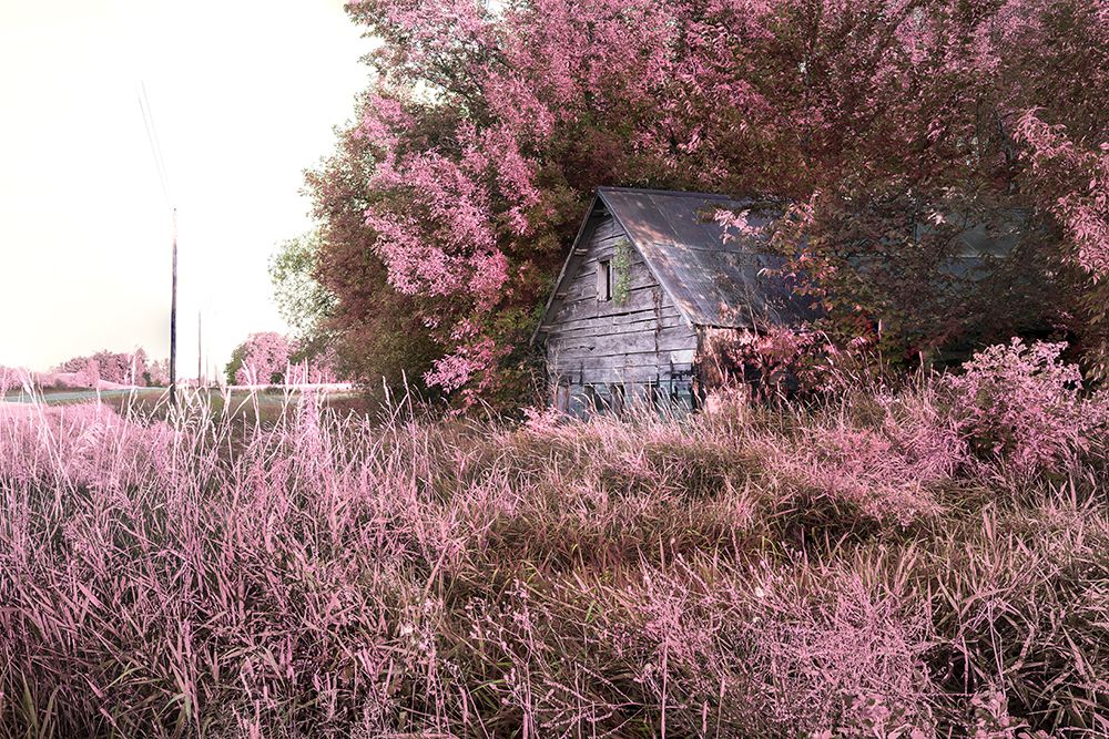 Pink Landscape 7 art print by Timothy Entropy for $57.95 CAD