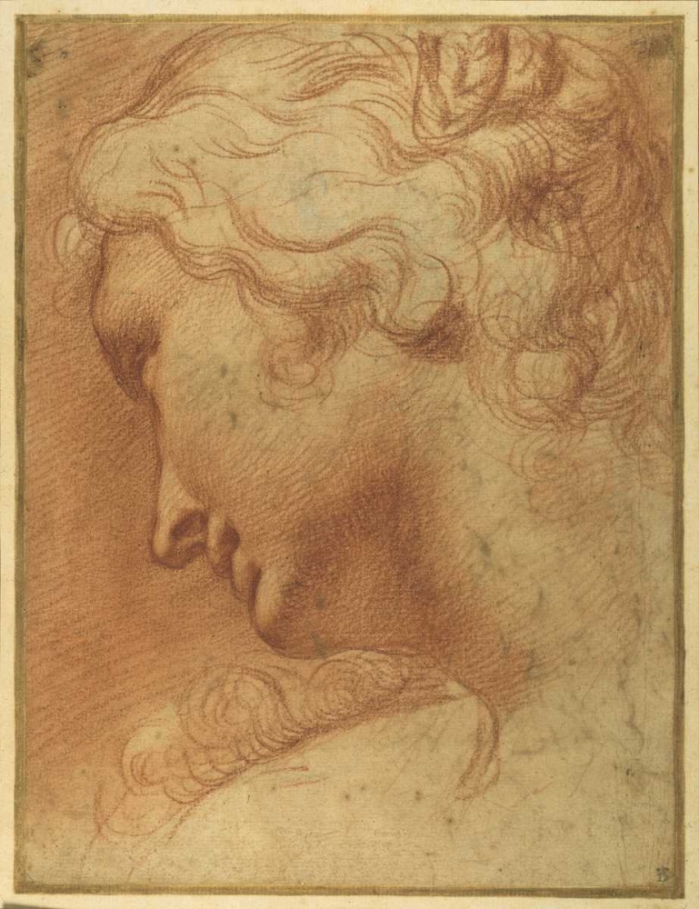 The Head of a Young Woman  art print by Agostino Caracci for $57.95 CAD