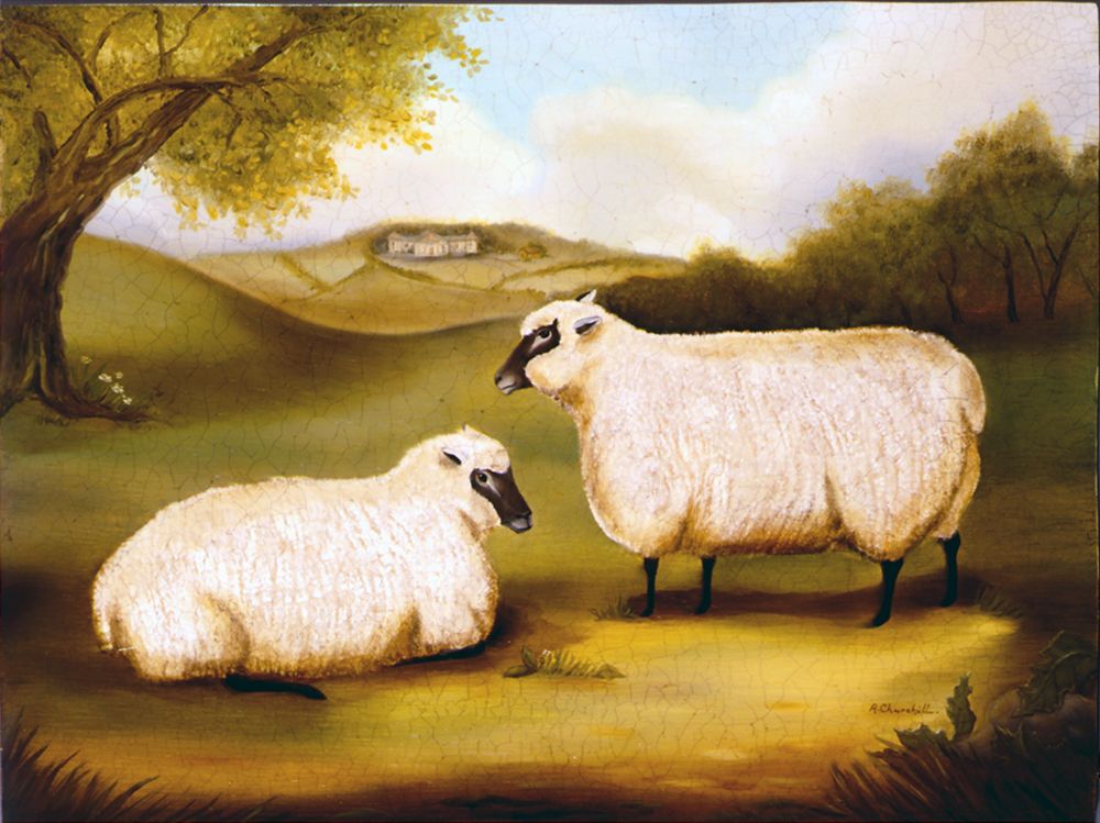 Two Sheep in a Landscape art print by Alexandra Churchill for $57.95 CAD
