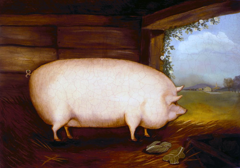 Large White Pig art print by Alexandra Churchill for $57.95 CAD