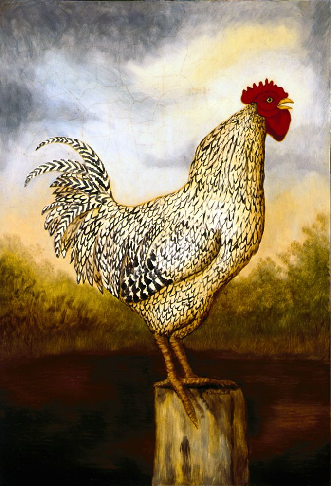 Plymouth Rock Crowing Cock art print by Alexandra Churchill for $57.95 CAD