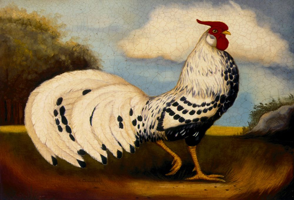 Silver Spangles art print by Alexandra Churchill for $57.95 CAD