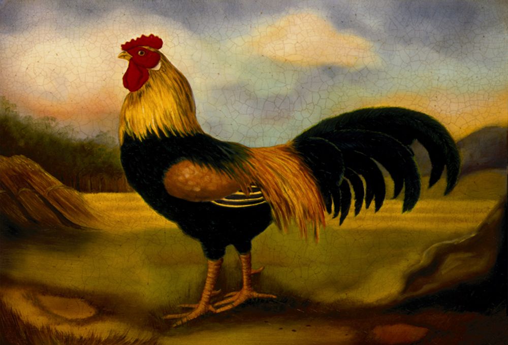 Old English Game Cock art print by Alexandra Churchill for $57.95 CAD