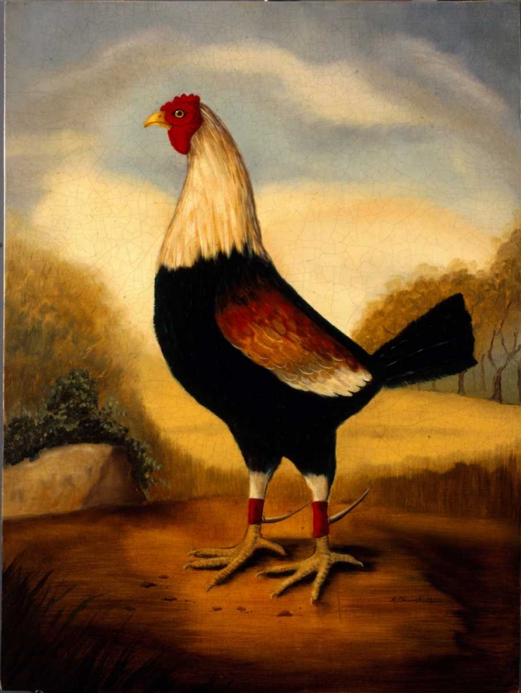 First Fighting Cock art print by Alexandra Churchill for $57.95 CAD