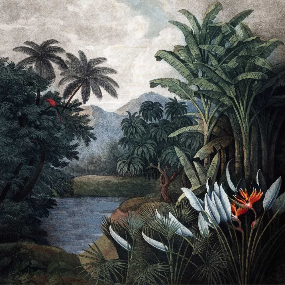 Jungle View art print by Dr R Thornton for $57.95 CAD