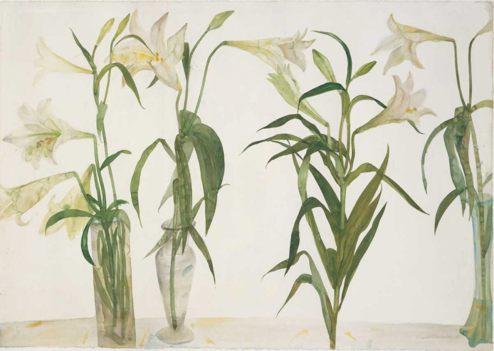 Green and White Lilies art print by Elizabeth Blackadder for $57.95 CAD