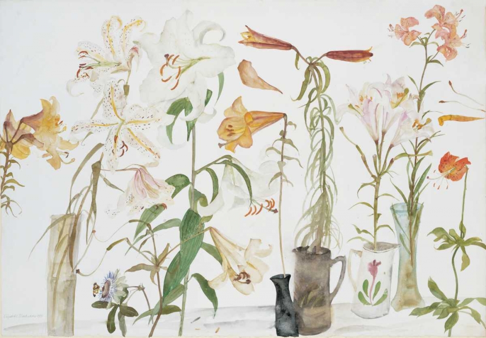 Lilies and Passion Flower art print by Elizabeth Blackadder for $57.95 CAD