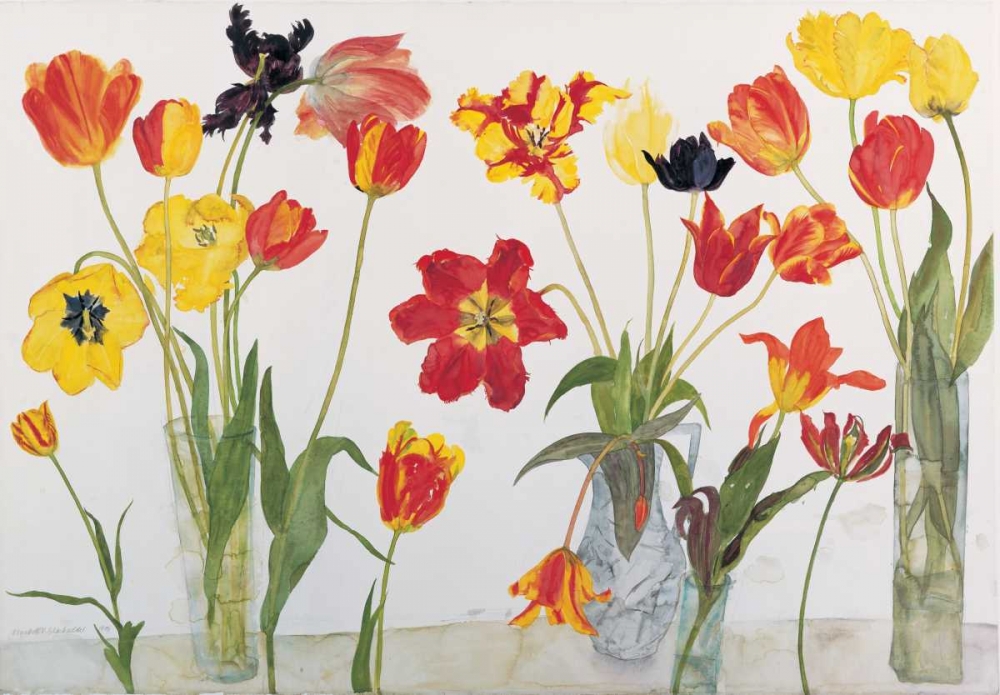 Red and Yellow Tulips art print by Elizabeth Blackadder for $57.95 CAD