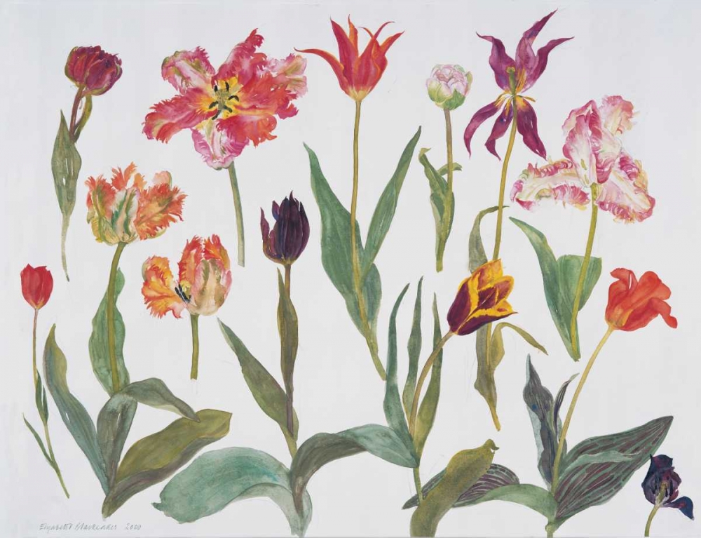 Tulips art print by Elizabeth Blackadder for $57.95 CAD
