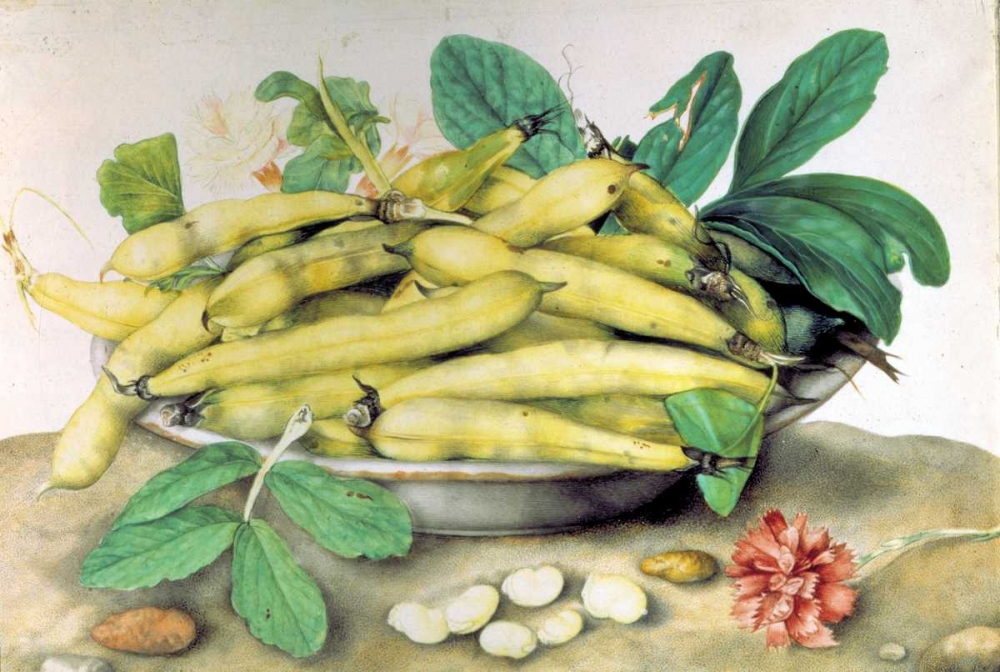 Dish of Broad Beans art print by Giovanna Garzoni for $57.95 CAD