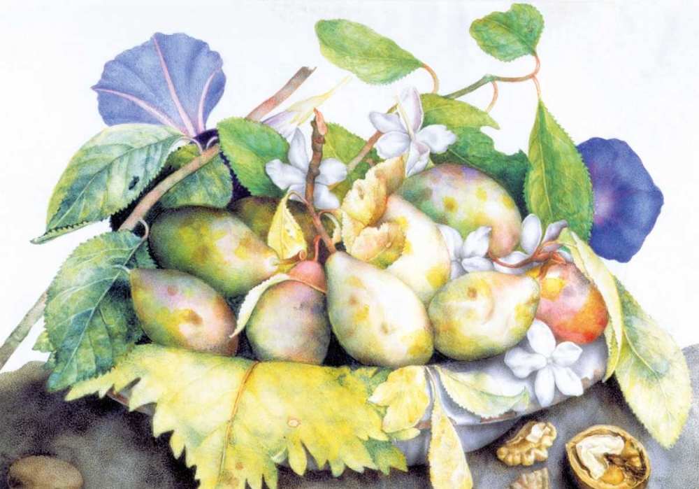 Dish of Plums, Jasmine and Walnuts art print by Giovanna Garzoni for $57.95 CAD