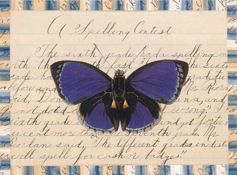 Butterfly Collage, Spelling Contest art print by William Gould-Porter for $57.95 CAD