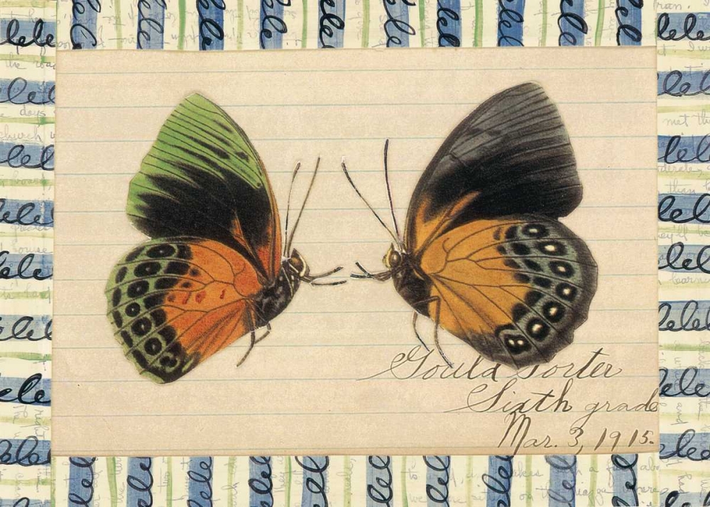 Butterfly Collage, Sixth Grade art print by William Gould-Porter for $57.95 CAD