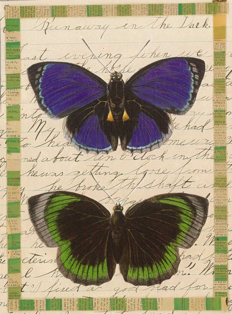 Butterfly Collage, Runaway art print by William Gould-Porter for $57.95 CAD