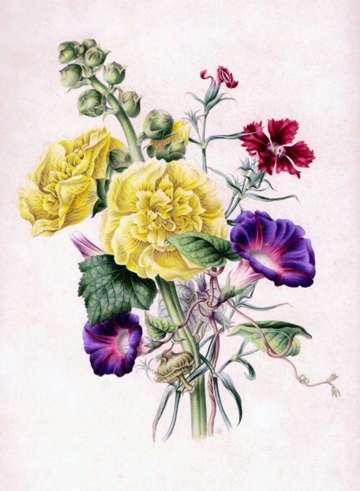 Hollyhocks art print by James Andrews for $57.95 CAD