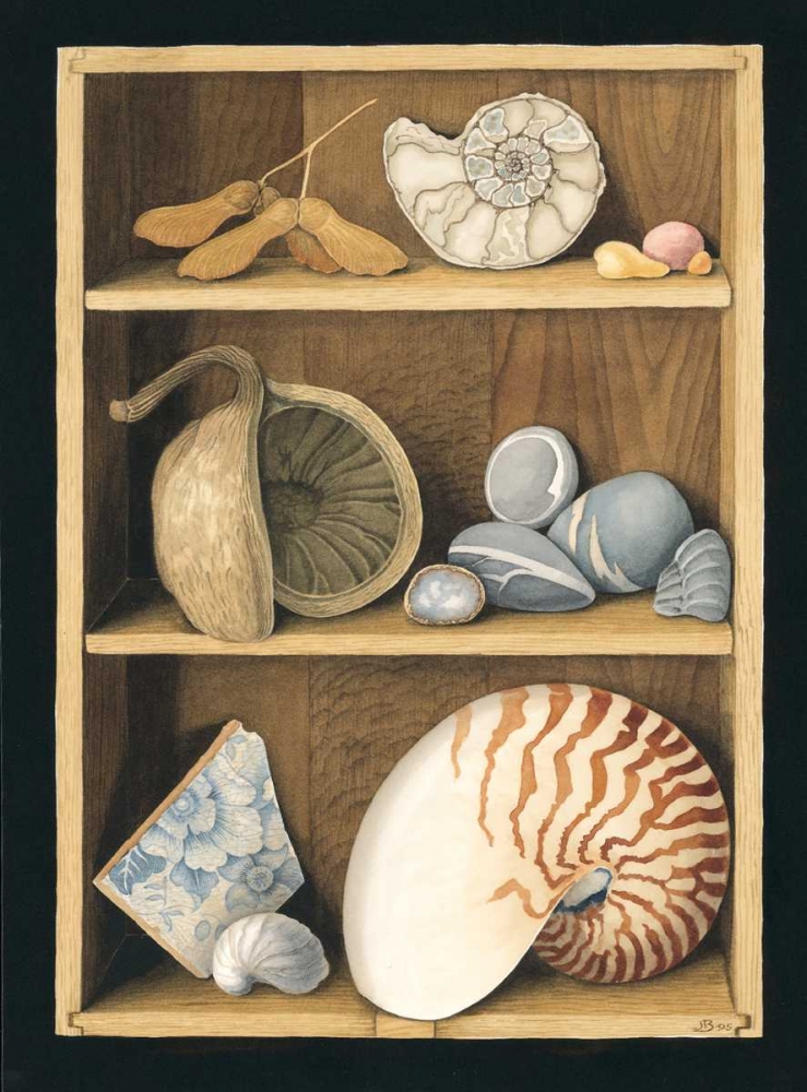 Shells on Shelves art print by Jenny Baron for $57.95 CAD