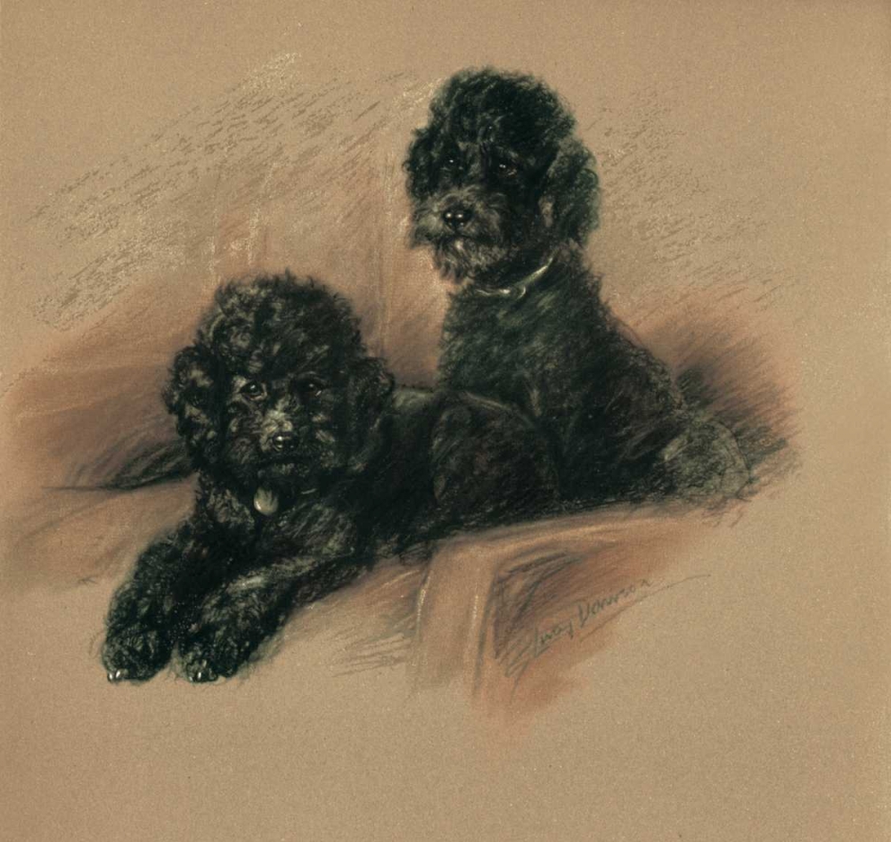 Poodles art print by Lucy Dawson for $57.95 CAD