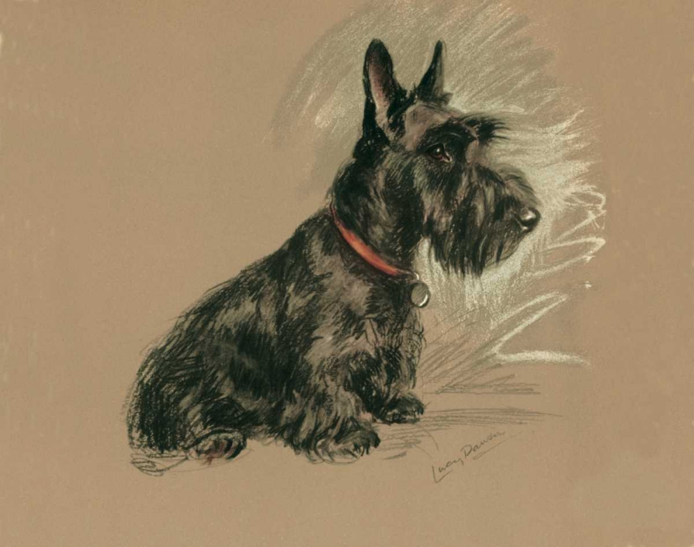 Scottish Terrier, Nanette art print by Lucy Dawson for $57.95 CAD