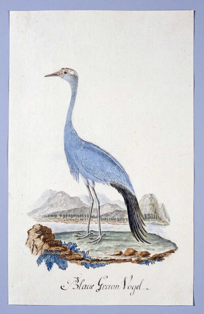 Blue Bird art print by Robert J. Gordon for $57.95 CAD